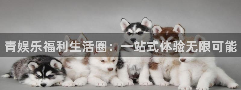 bb电子下载：青娱乐福利生活圈：一站式体验无限可能