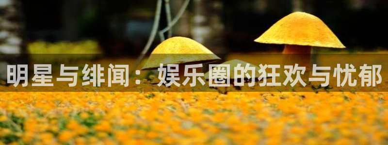 bb电子游戏：明星与绯闻：娱乐圈的狂欢与忧郁