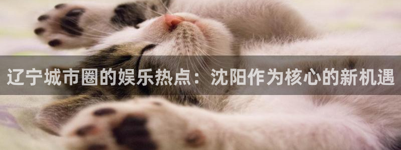 bb电子艺游平台：辽宁城市圈的娱乐热点：沈阳作为核心的新机遇
