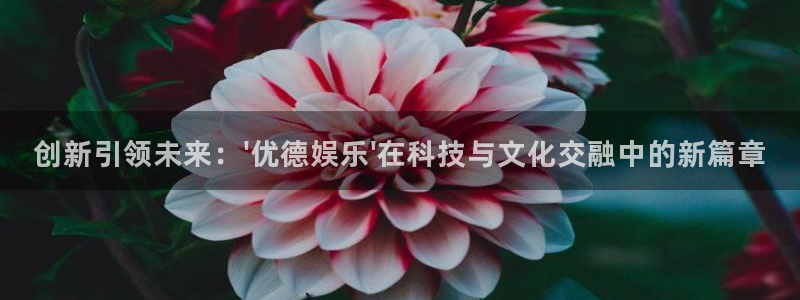bb电子游戏娱乐平台：创新引领未来：\'优德娱乐\'在科技与文化交融中的新篇章